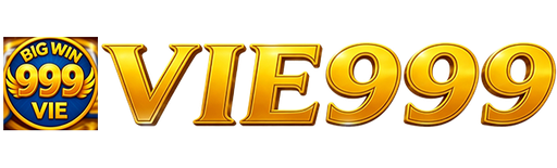 vnvie999.com Logo